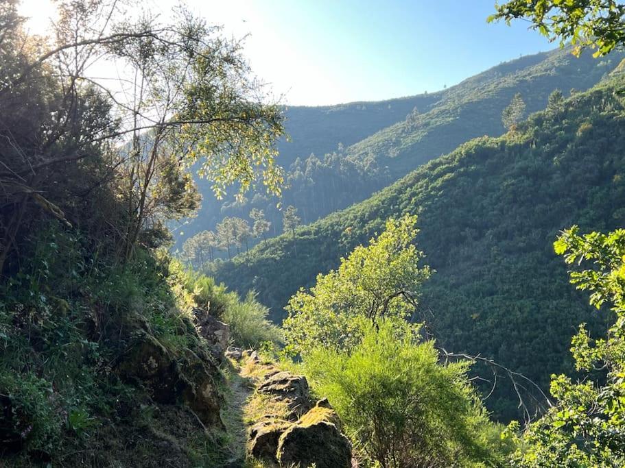 Casinha Do Sol - Natureza & Lazer - Serra Da Freita Arouca Ngoại thất bức ảnh