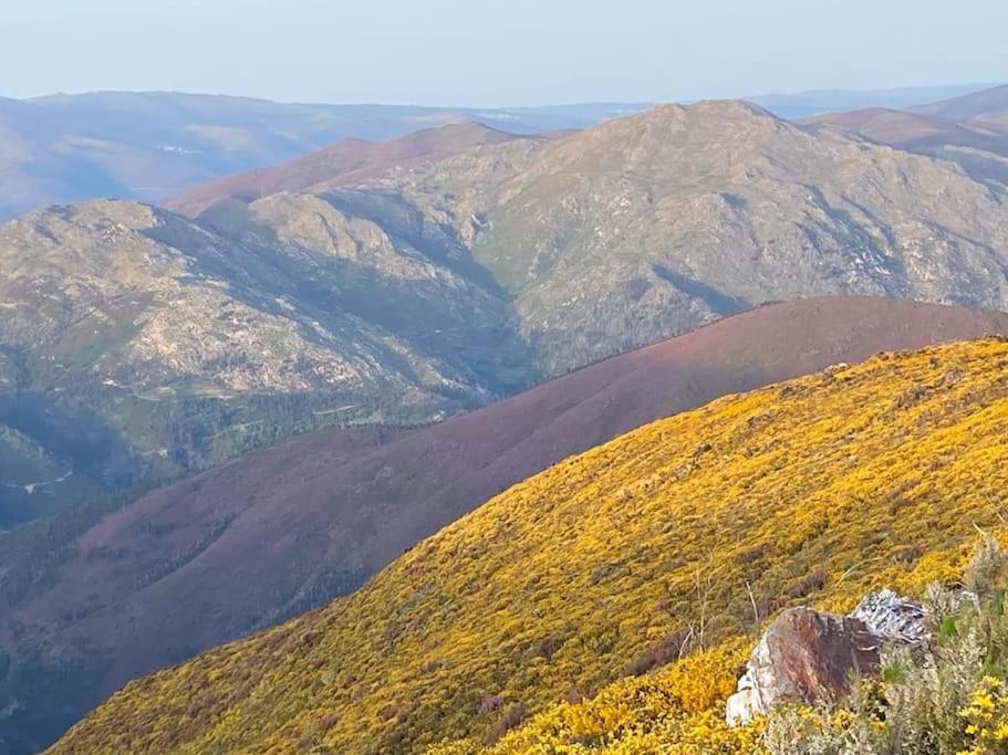 Casinha Do Sol - Natureza & Lazer - Serra Da Freita Arouca Ngoại thất bức ảnh